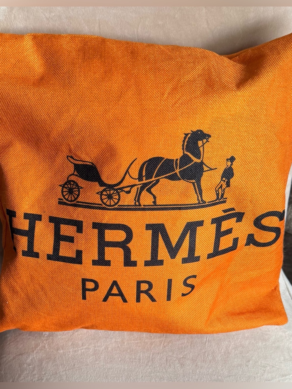 🍂BRAND NEW FASHION DECOR PILLOW🍂🍂🍂